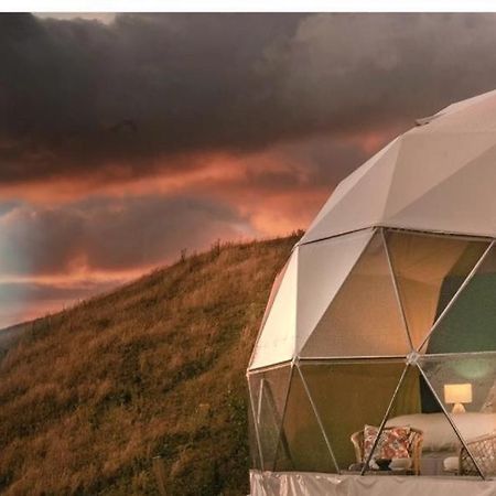Vila Caravans Park & Glamping Tents In The Vineyard Turda Exteriér fotografie