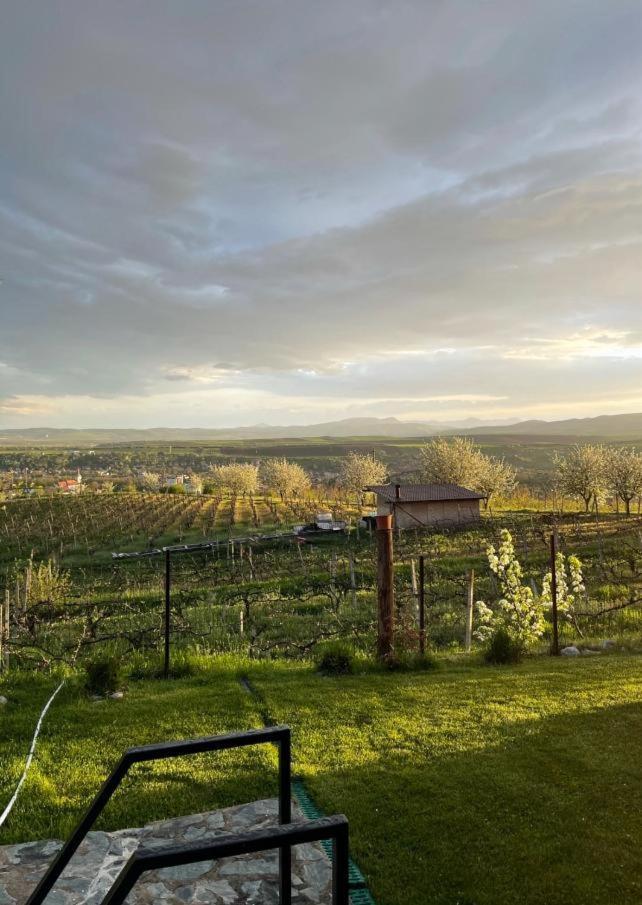 Vila Caravans Park & Glamping Tents In The Vineyard Turda Exteriér fotografie